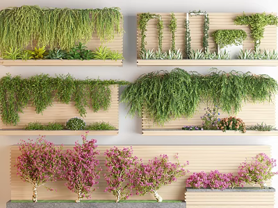 Vines And Lush Plants For Interior Wall Decor On Wooden Shelves 3d model