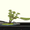 Plant Landscape Tree Pond Stone Head Landscape Pohan Pine Tree Modeling Landscape Tree 3d model