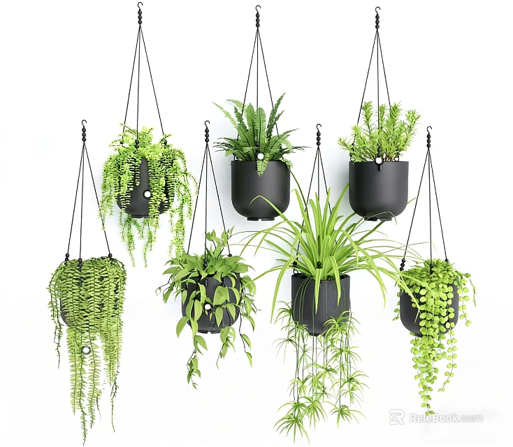 Various Hanging Basket Green Plants with Trailing Foliage in Black Pots 3d model 