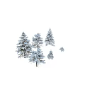 Snow Covered Arbor Trees with Different Shapes and Snowy Branches on Black Background