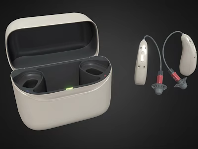 Wireless Bluetooth Headphones with Open Charging Case and Neckband Design for Portable Music Listening 3d model