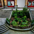Curved Stone Stairs in Courtyard Surrounded by Lush Greenery and Red Architectural Doors