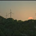 Scenic View Of Wind Turbines On Lush Green Hills During Sunset