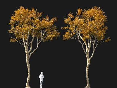 Two Yellow Leaf Trees with White Figure Against Black Background 3d model
