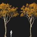 Two Yellow Leaf Trees with White Figure Against Black Background 3d model