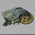 Vibrant Blue and Yellow Beetle with Spotted Shell and Intricate Body Details