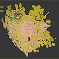 Green Decorative Plant With Lush Yellow Green Leaves And Branch Support Structure