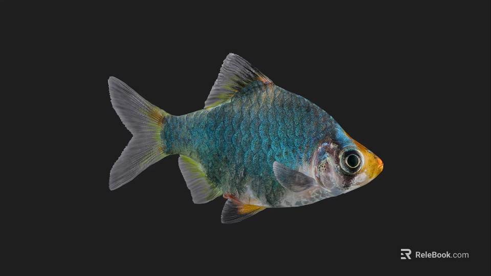 Vibrant Aquatic Fish With Blue Green Scales And Yellow Head Accent 3d model 