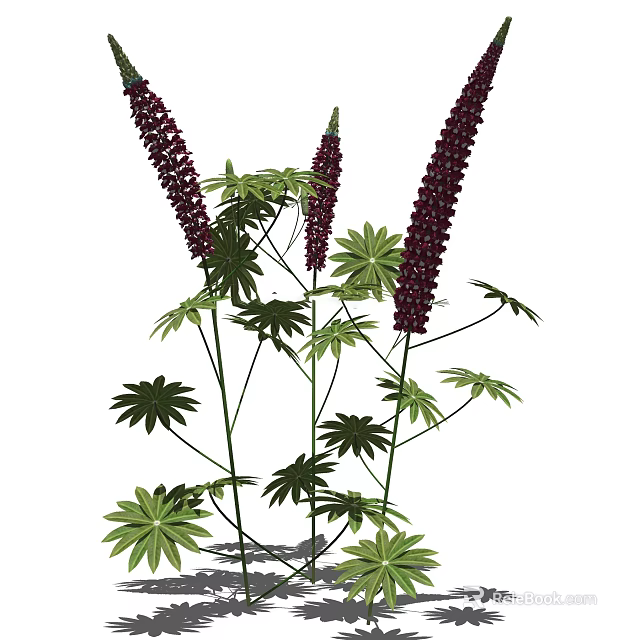 Tall Purple Flower Spikes With Green Leaves In Garden Plant 3d model 