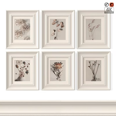 White Photo Frames Displaying Botanical Specimens In Grid Arrangement For Home Decor 3d model