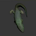 Realistic Green Lizard 3D Model With Smooth Skin Long Tail On Gray Background