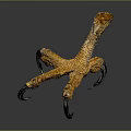 Close Up View Of Yellow Chicken Foot With Textured Skin And Sharp Claws