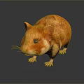 Mouse Wizard Mouse Warlock Cartoon Mouse Animation Mouse Animation Mouse Cartoon Character Cartoon Animal 3d model