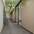 Modern Office Hallway Interior With Wooden Walls Grey Carpet Flooring Glass Doors And Blinds