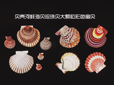 Vibrant Red Seashell Silhouette Collection With Large Grains Pearl Shells Mussels And Scallops 3d model