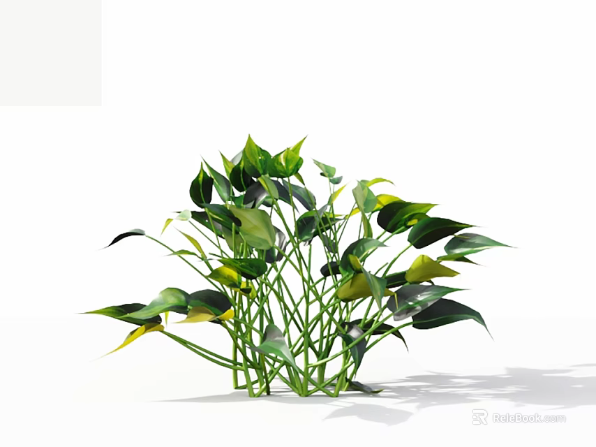 Lush Leafy Green Plants With Green And Yellow Leaves On White Background With Natural Shadow 3d model 
