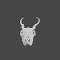 White Deer Skull With Intricate Antler Structure And Detailed Bone Features