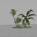 Tropical Palm Trees with Lush Green Grass and Foliage in Garden Landscaping Scene