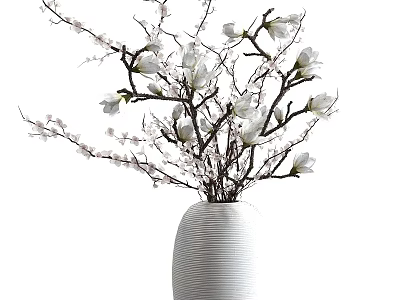 White Striped Vase With White Magnolia Blossoms And Brown Branches 3d model