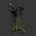 Natural Wood And Stone Tree Stump With Rough Bark Texture And Green Moss