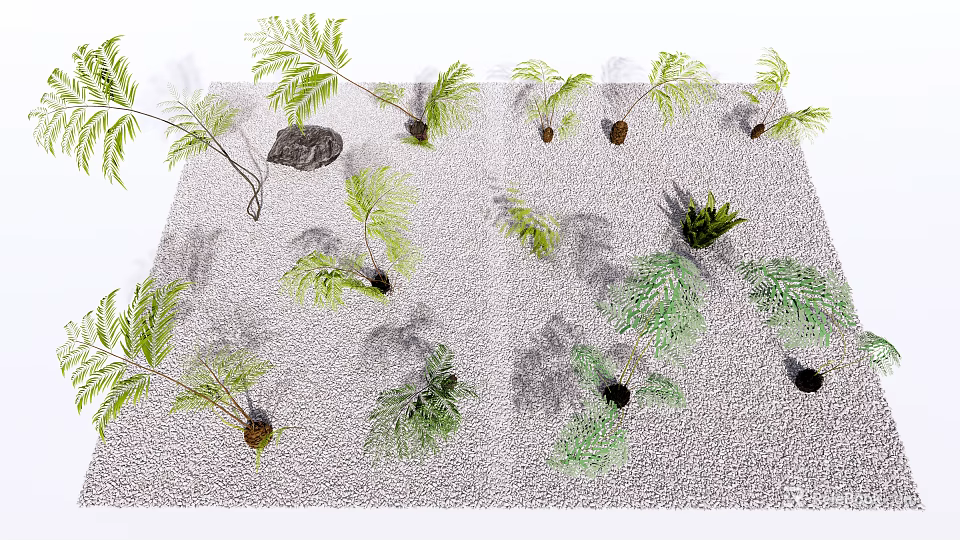 Green Leafy Plants Growing in Sandy Surface with Diverse Foliage and Small Rock 3d model 