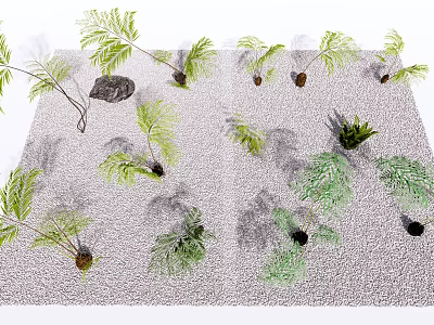 Green Leafy Plants Growing in Sandy Surface with Diverse Foliage and Small Rock 3d model