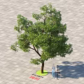 Lush Arbor Tree With Green Foliage Standing On Paved Ground Surface Area 3d model