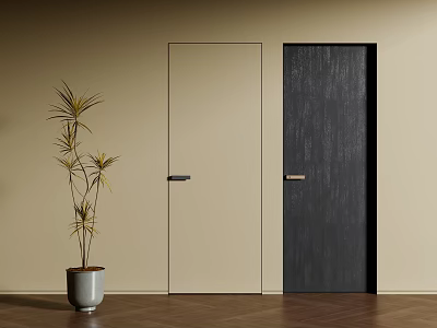 Modern Hinged Doors In Beige And Dark Colors With Indoor Plant And Wooden Floor 3d model