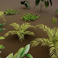 Diverse Green And Colorful Foliage Plants Arranged On Brown Background Surface
