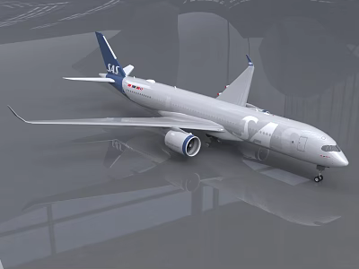 LEE Airlines Silver Passenger Airliner With Large Wings And Engines On Reflective Floor 3d model