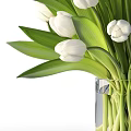 Fresh White Tulips in Clear Glass Vase with Green Leaves Decoration