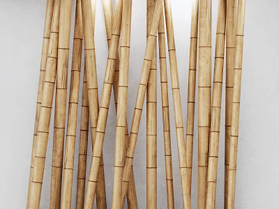Natural Bamboo Poles Arranged Vertically Against White Background in Decorative Pattern 3d model