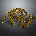 Spiky Green Vine Shaped Food With Natural Organic Textured Surface