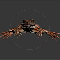 Brown Frog With Dark Spotted Patterns On Smooth Black Reflective Surface 3d model