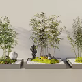 Decorative Bamboo Plants in Planters With Stones Moss and Pebbles