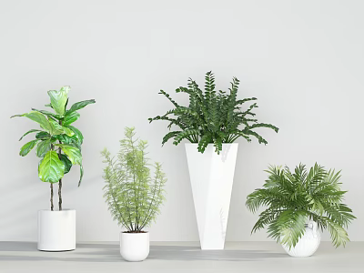 Various Green Potted Plants In White Pots On Minimalist Light Background 3d model