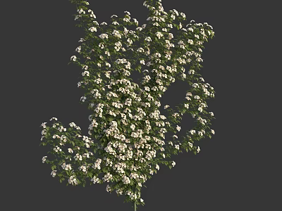 Decorative White Small Flowers With Green Vines Forming Dollar Sign Shape 3d model