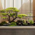 Lush Bamboo Plants in Japanese Style Courtyard With Stones And Lantern