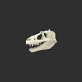 Reptile Fossil Skull Anatomical Structure With White Bone And Dark Background 3d model