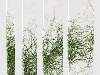 Green Vines Vertical Growth With Lush Foliage Different Textures And Hanging Tendrils 3d model