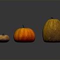 Modern Pumpkin Vegetable Plant 3d model