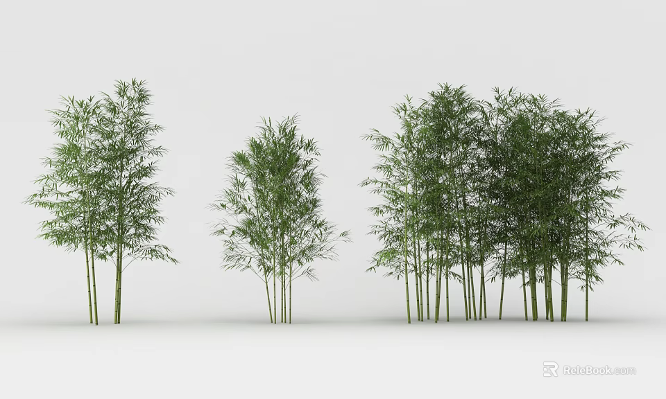Natural Bamboo Plants with Lush Green Foliage in Various Growth Heights 3d model 