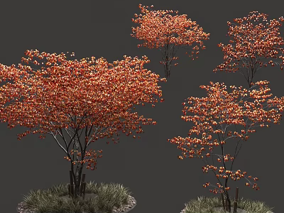 Vibrant Arbor Trees With Orange Red Foliage Lush Canopy And Grass At Base 3d model
