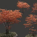 Vibrant Arbor Trees With Orange Red Foliage Lush Canopy And Grass At Base 3d model