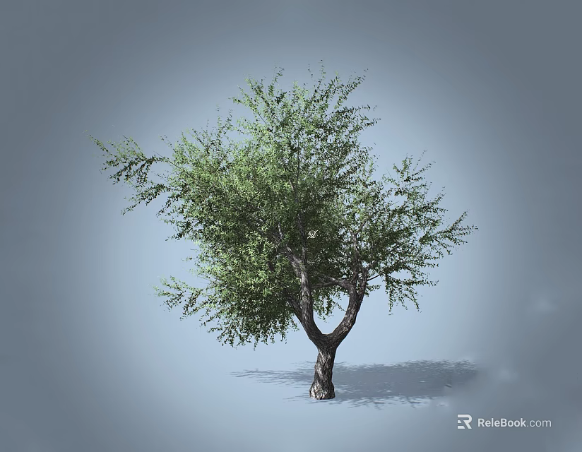 Single Arbor Tree With Green Leaves And Forked Trunk In Isolated Background 3d model 