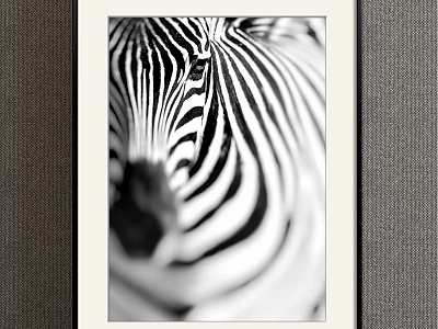 Modern Animal Painting Black and White Children's Room Animal Zebra Decorative Painting model