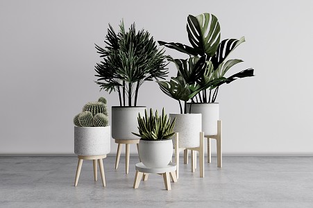 Nordic potted plant potted combination 3d model