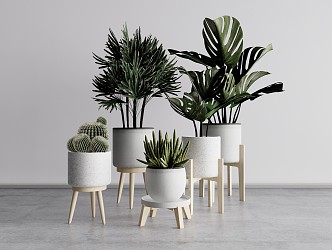 Nordic potted plant potted combination 3d model