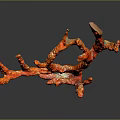 Red Coral Decorative Piece Displaying Branched Structure Against Dark Background