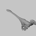Realistic Feathered Dinosaur Model In Standing Pose With Detailed Texture